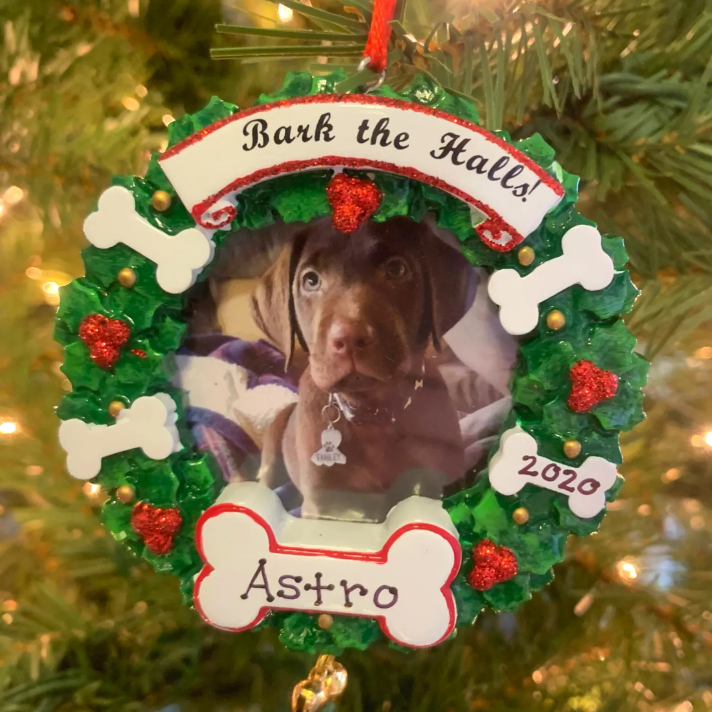 Polar X Bark The Halls Pet Picture Frame Personalized Christmas Ornament PF1899 New