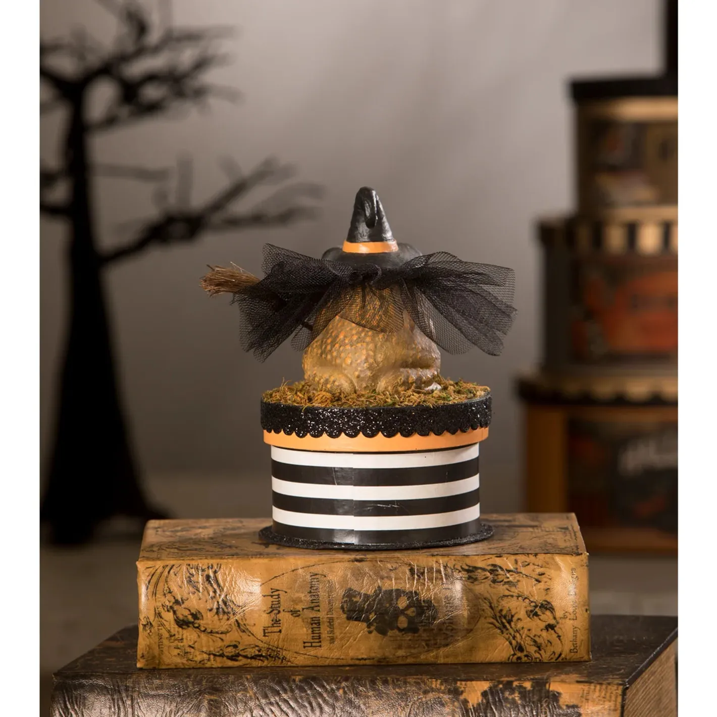 Bethany Lowe 7" Witchy Toad On Box Container Halloween Decoration TL2348 Best
