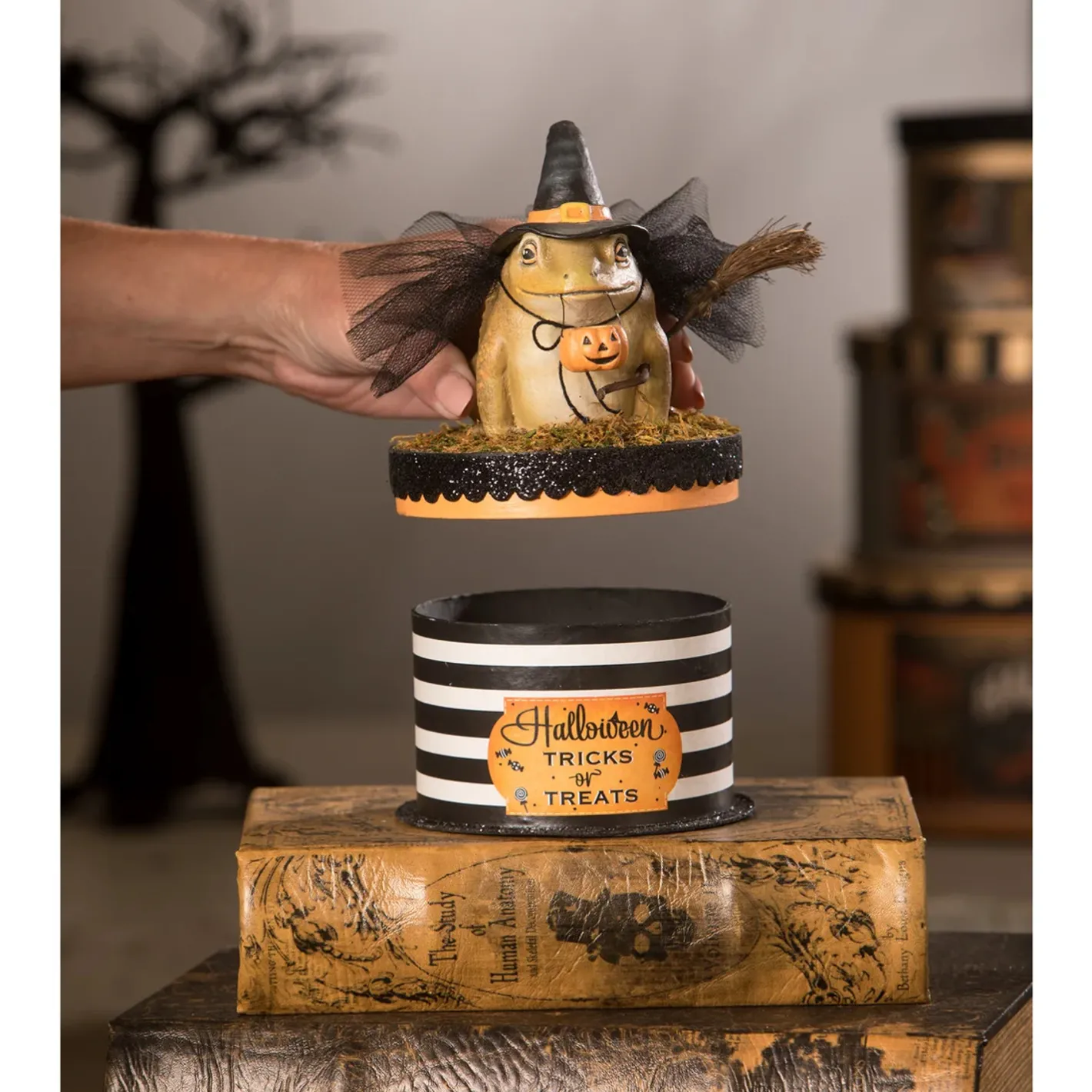 Bethany Lowe 7" Witchy Toad On Box Container Halloween Decoration TL2348 Best