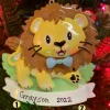 Polar X Boy Lion Cub Personalized Christmas Ornament OR2362-M Sale