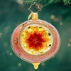 Christopher Radko Fantasia Poinsettia Reflections Glass Christmas Ornament 1022122 New