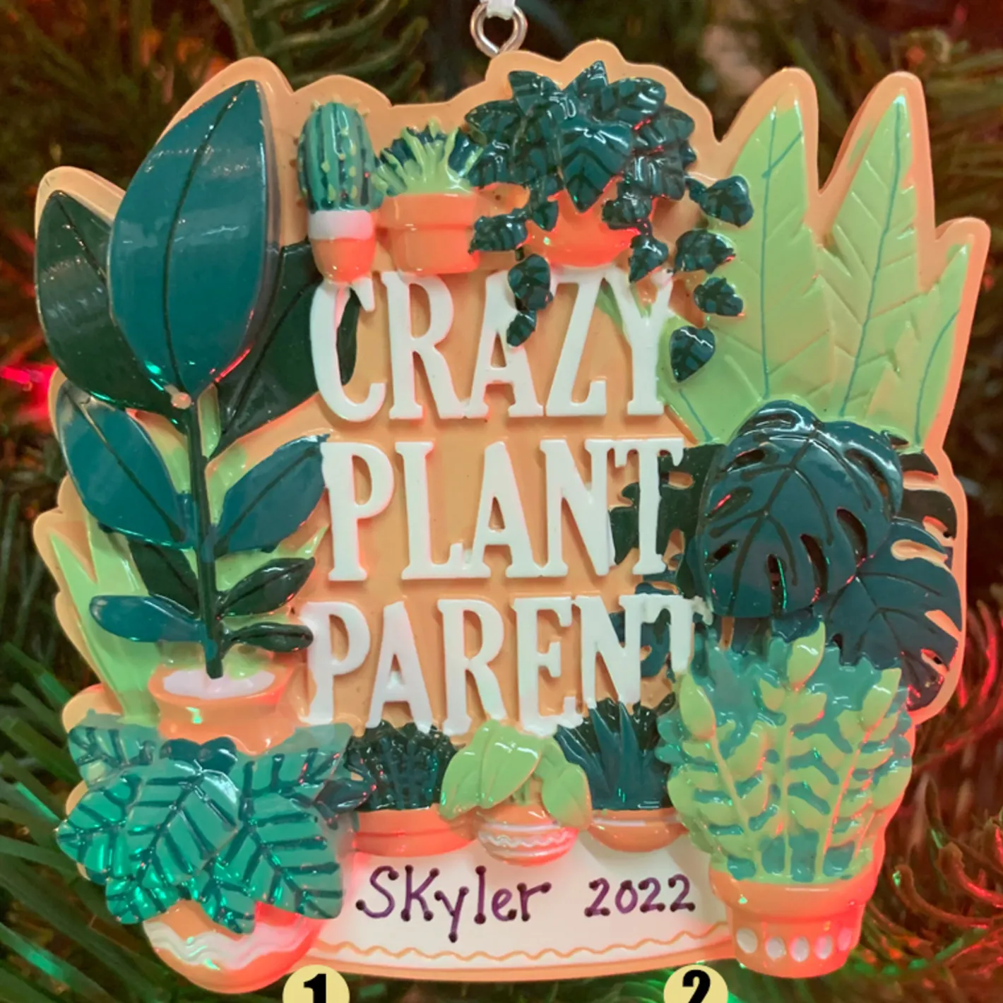 Polar X Crazy Plant Parent House Plants Personalized Christmas Ornament OR2288 Discount