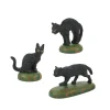 Department 56 Halloween Village A Clowder Of Black Cats Figure 6007711 Outlet