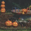 Department 56 Halloween Village Scary Cats and Pumpkins Figure 6012285