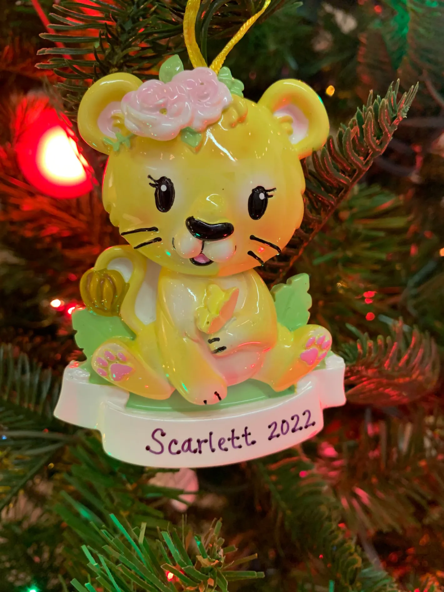 Polar X Girl Lion Cub Personalized Christmas Ornament OR2362-F Sale