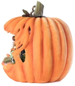 Katherines Collection Katherine's Collection 18