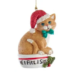 Kurt Adler 3.25" "If I Fits, I Sits" Cat Christmas Ornaments E0599 Best