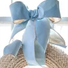 Raz Imports Raz 4" Blue Velvet with Champagne Back Wired Christmas Ribbon R4527831 Discount