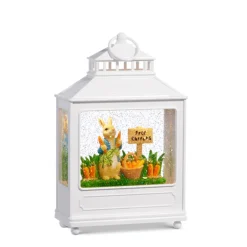 Raz Imports Raz 11" Carrot Patch Lighted Easter Water Globe Lantern 4416908 Discount