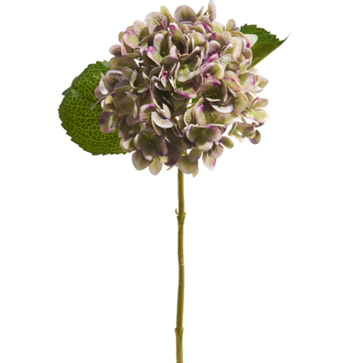 Raz Imports Raz 18" Green or Purple Hydrangea Stem New
