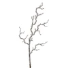 Raz Imports Raz 39" Iced Branch Christmas Tree Pick F4217561 Sale