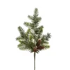 Raz Imports Raz 20" Iced Pine and Pinecones Christmas Tree Spray F4424611 Discount