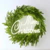 Raz Imports Raz 20" Lighted Merry Christmas Neon LED Sign 4540605 Best