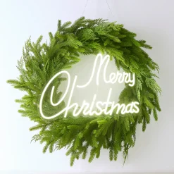 Raz Imports Raz 20" Lighted Merry Christmas Neon LED Sign 4540605 Best