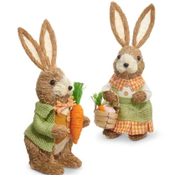 Raz Imports Raz 11" Mr. and Mrs. Carrot Patch Bunny Easter Figure Set of 2 4403414 Discount