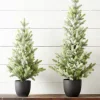 Raz Imports Raz 30.5" or 38" Potted Iced Fir Tree Tabletop Christmas Tree Best