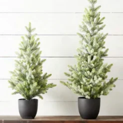 Raz Imports Raz 30.5" or 38" Potted Iced Fir Tree Tabletop Christmas Tree Best