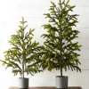 Raz Imports Raz 47" or 60" Potted Noble Fir Tabletop Christmas Tree Sale