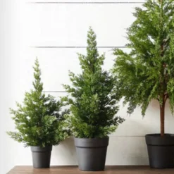 Raz Imports Raz 17" or 22" Real Feel Potted Cedar Christmas Tree Decoration Sale