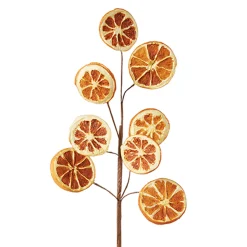 Raz Imports Raz 18.5" Orange Slice Christmas Tree Spray F4202295 Hot