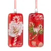 Raz Imports Raz 5.5" Set of 2 Magic Of Christmas Rectangle Glass Christmas Ornament 4525039 Sale