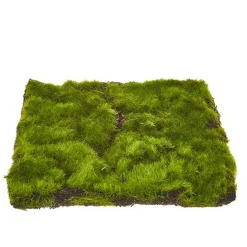 Raz Imports Raz 11.5" Sheet of Moss Decoration 4222701 Sale