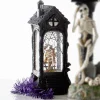Raz Imports Raz 11.5" Skeleton Bride and Groom Lighted Water Globe Halloween Decoration 4500753 Clearance