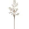 Raz Imports Raz 25.5" White Berry Christmas Tree Spray F4406700 Outlet