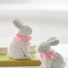 Raz Imports Raz 5.25" White Woven Wicker Bunny Figures with Pink Bows Set of 2 4511174 Clearance