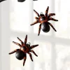 Raz Imports Raz Eric Cortina 4" Along Came A Spider Glass Halloween Ornament 4453115 New