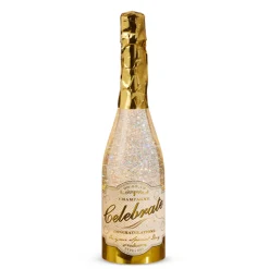 Raz Imports Raz Eric Cortina 12.5" Lighted Christmas Champagne Bottle Water Globe with Swirling Glitter 4419269 Outlet