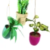 Cody Foster Co Cody Foster 4.5" Pothos, Snakeplant, or Fern Christmas Ornament PO-2079 Online