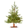 Raz Imports Raz 3' Bavarian Fir Tree with LED Lights Christmas Tree T4509557 Online