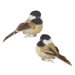 Raz Imports Raz 3.5" Clip On Bird Christmas Ornament 4153305 New
