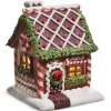 Raz Imports Raz 7" Lighted Chocolate Frosted Gingerbread House Christmas Decoration 4516668 New