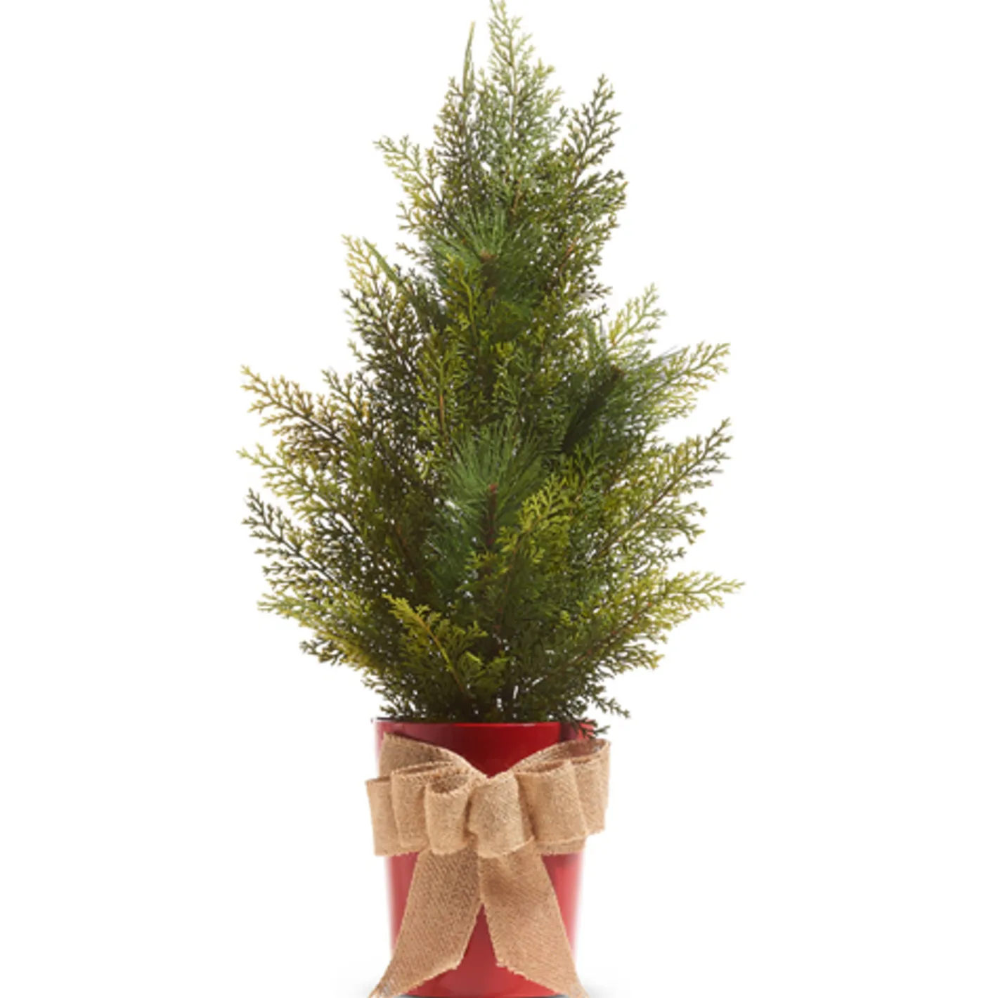 Raz Imports Raz 27" or 35" Potted Half Wall Hanging Christmas Tree Clearance