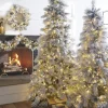 Raz Imports Raz 7.5' or 9' Pre Lit Flocked Pine Christmas Tree Outlet