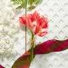 Raz Imports Raz 12.5" Real Feel Pink Amaryllis Bundle Christmas Tree Accessory F4302309