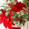 Raz Imports Raz 27" Red Velvet Poinsettia Stem Christmas Tree Pick F4506688 New