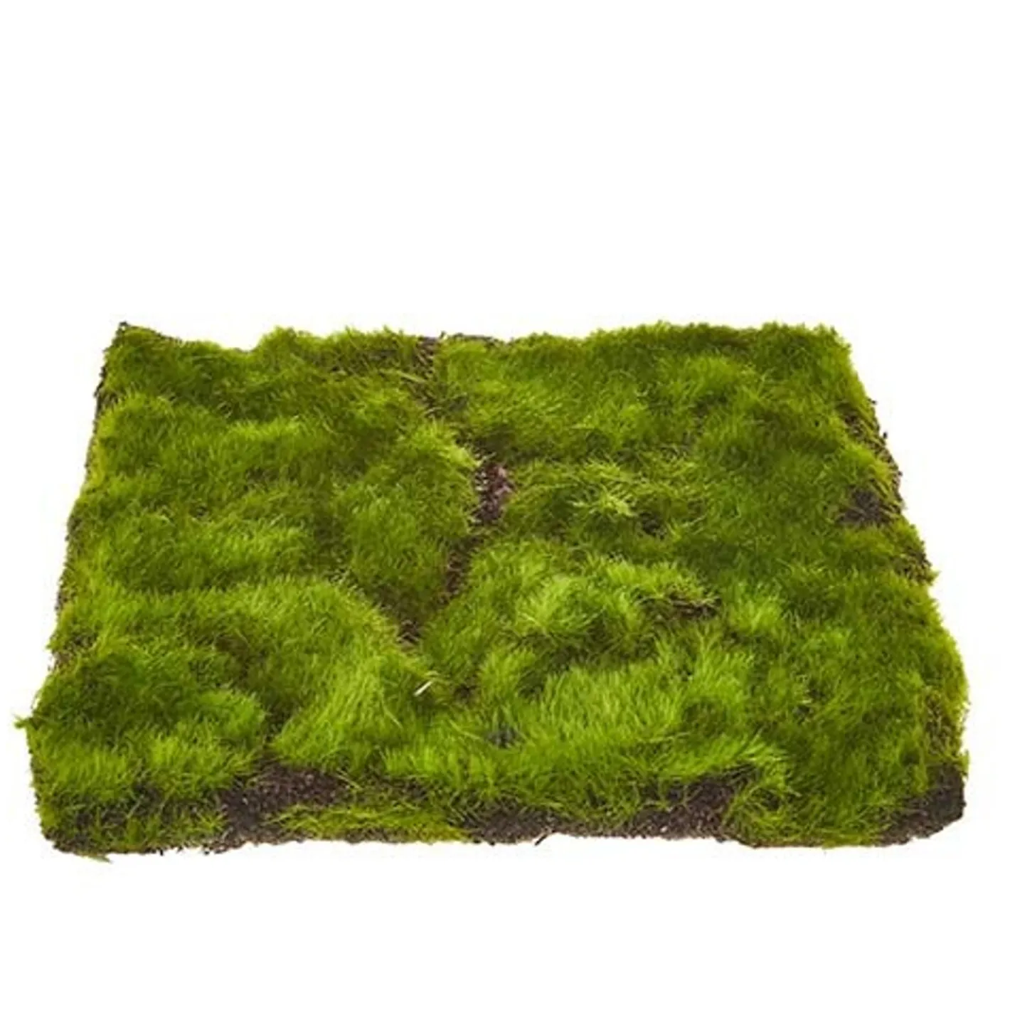 Raz Imports Raz 11.5" Sheet of Moss Decoration 4222701 Sale